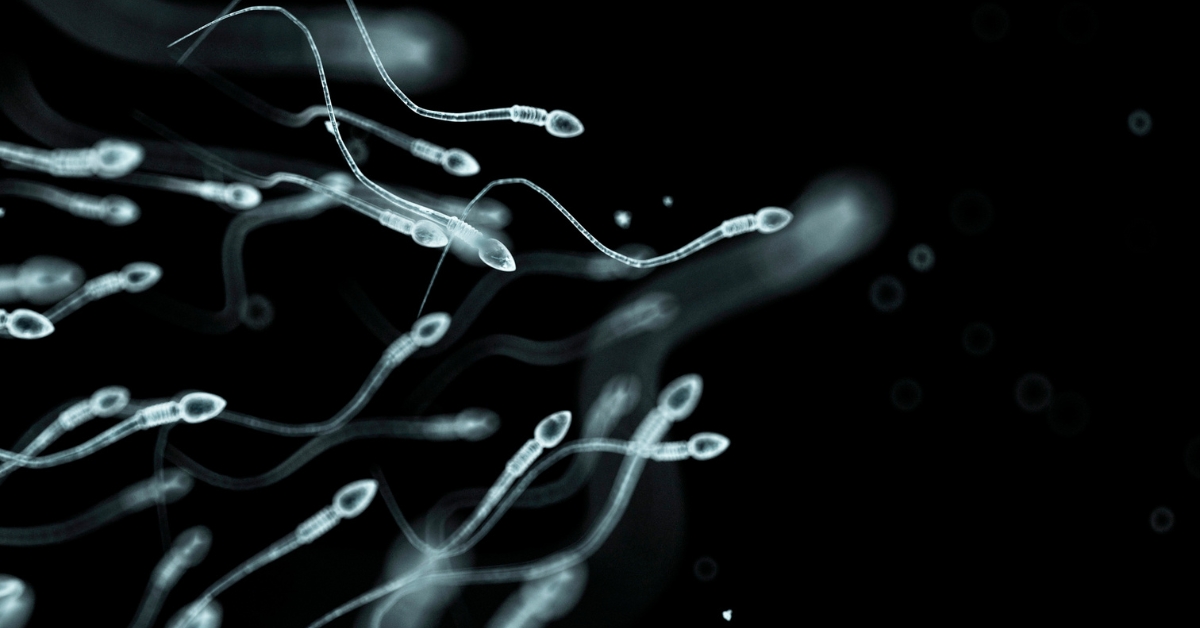ective Strategies on How To Increase Sperm Count While On TRT